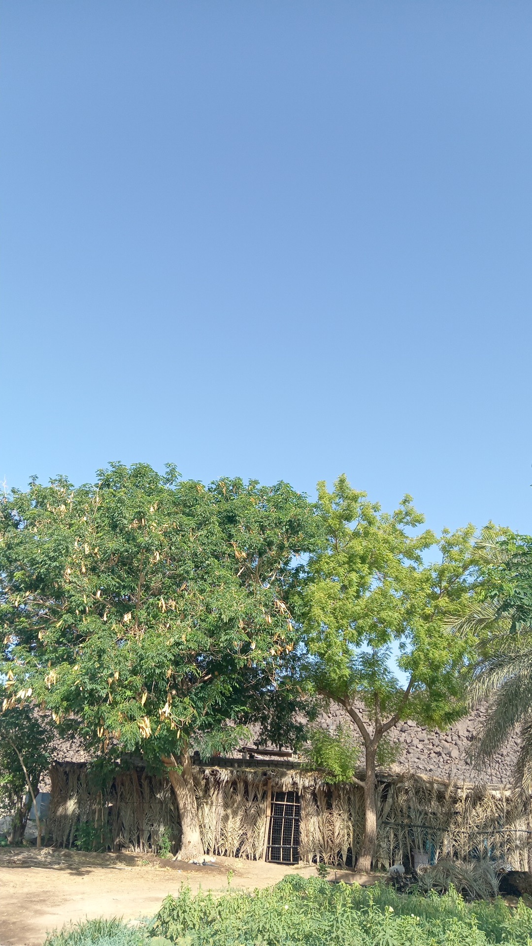 @بلوقر | اصايل العنزي 📸🌿