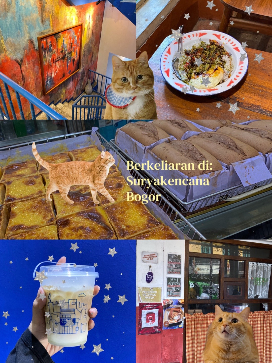 @Tashi | Foods, Places, etc🐻🤎