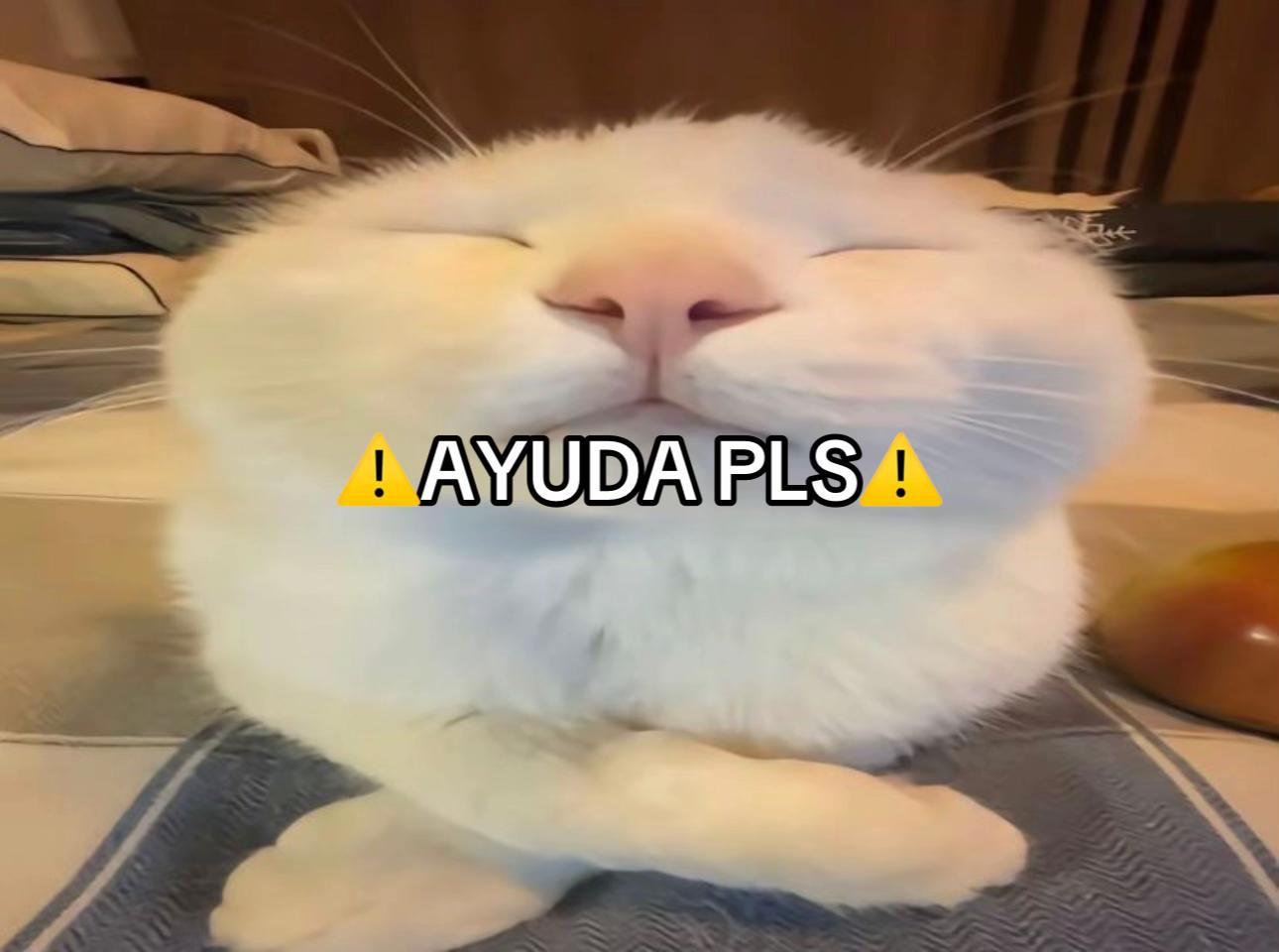 @Kai(doublezipperfan#1)