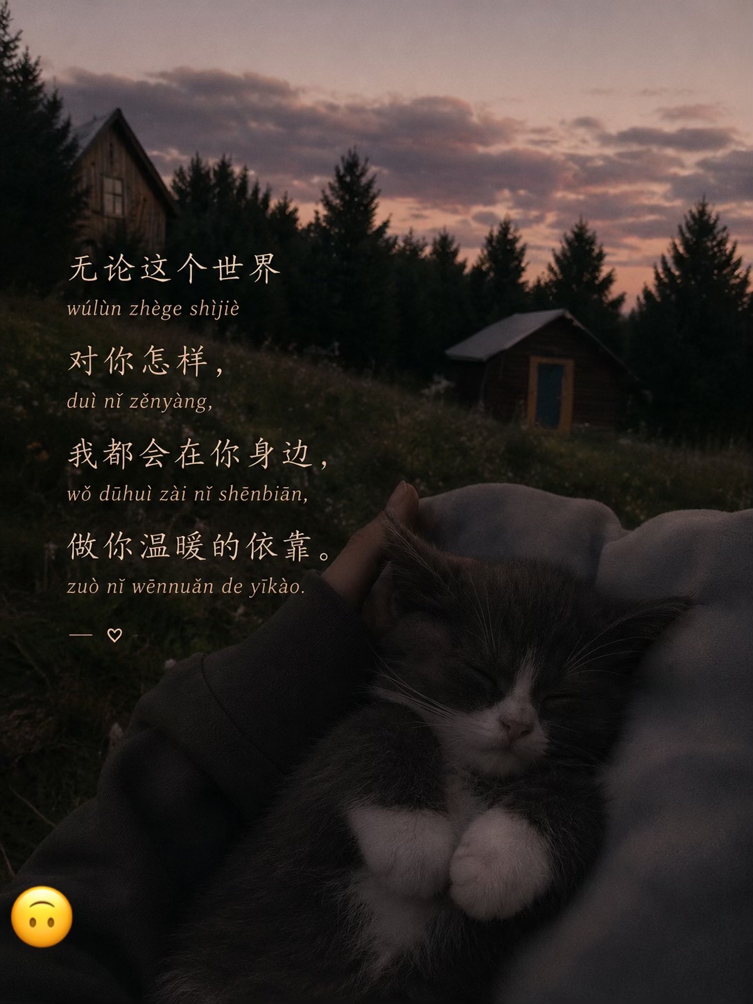 @Mia little老师🀄