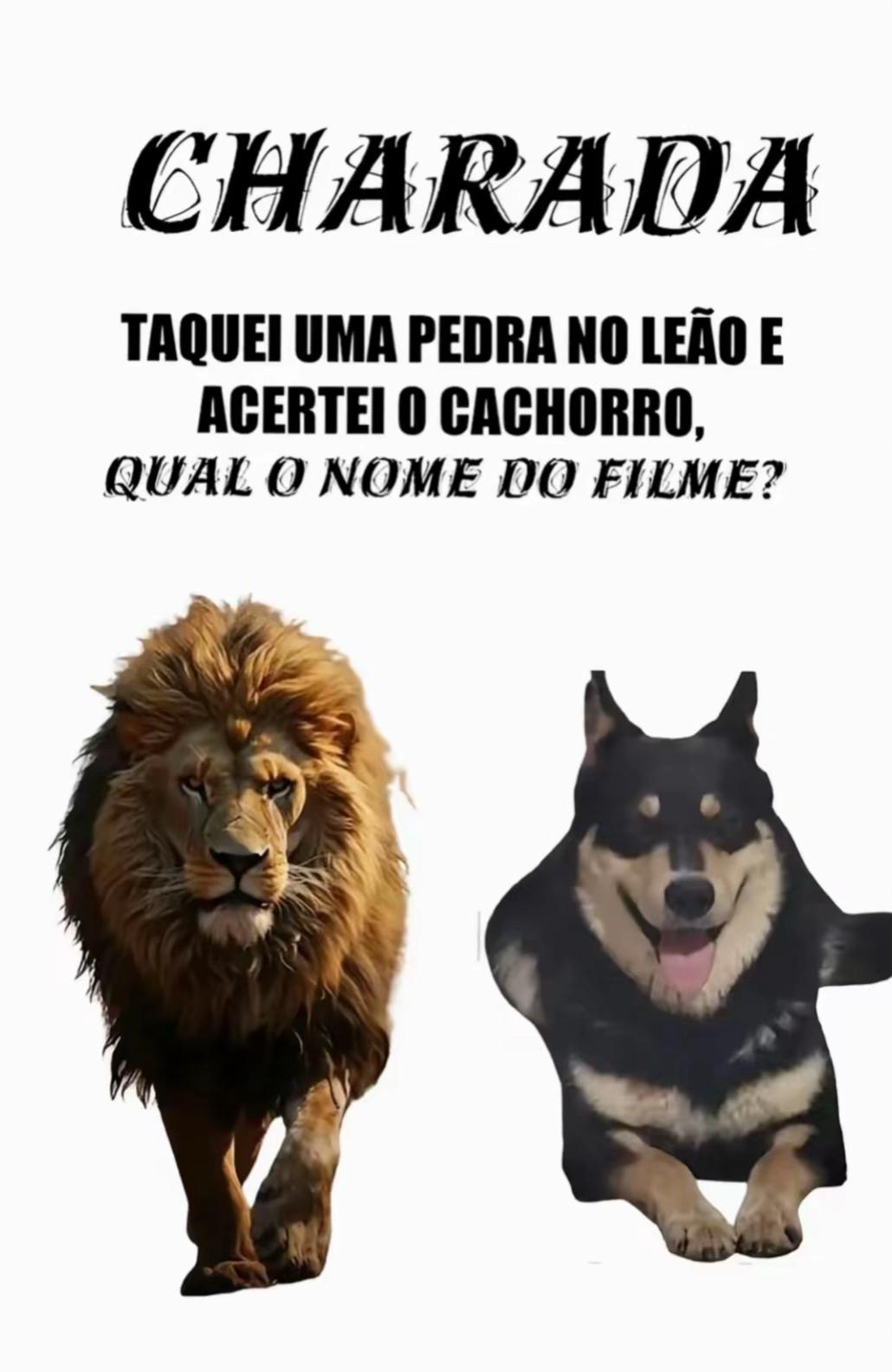 @marcelocamargos