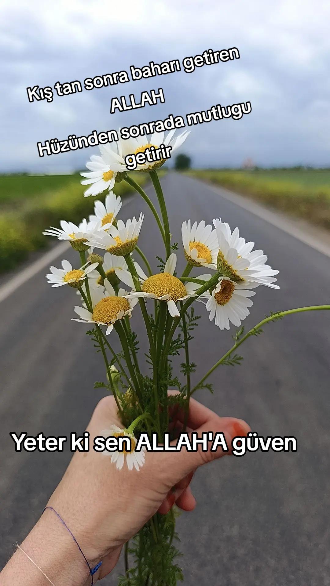 @hasretim_46