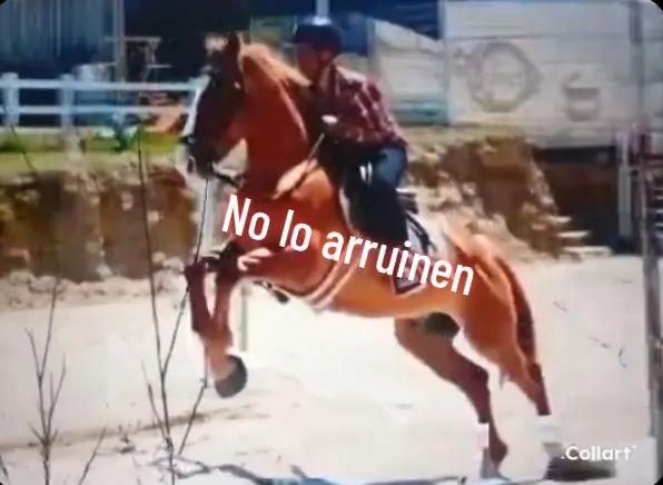 @🤜salvador Torres🤛