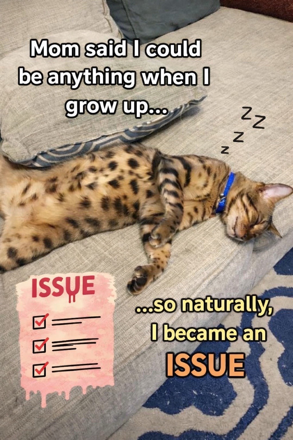 @Drew crazy cat guy