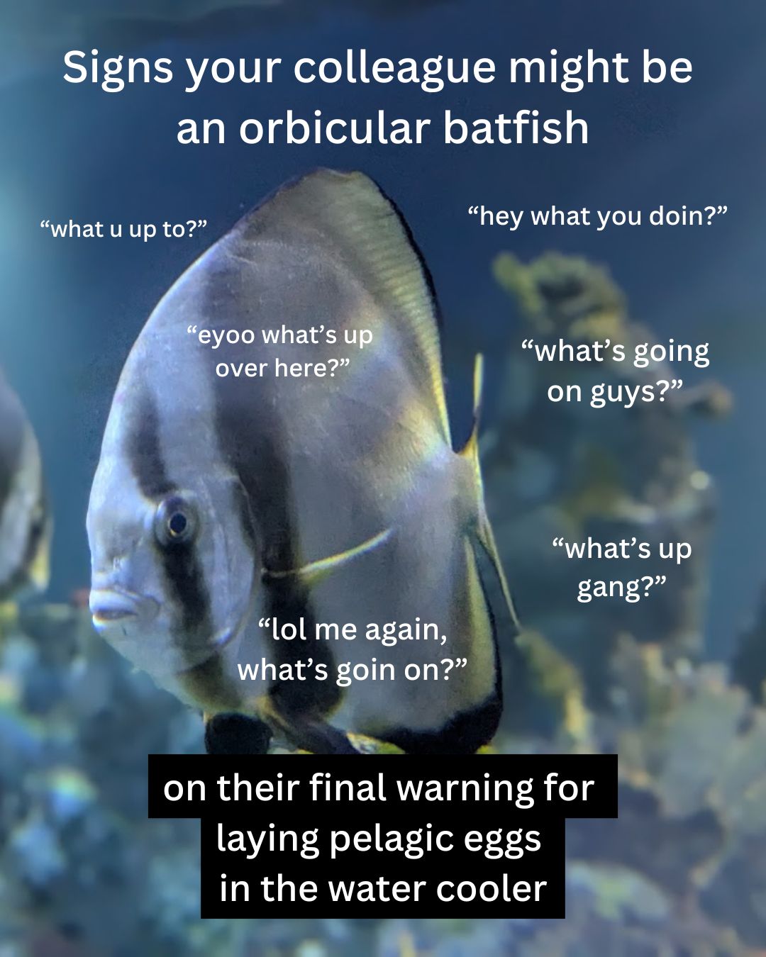 @BristolAquarium