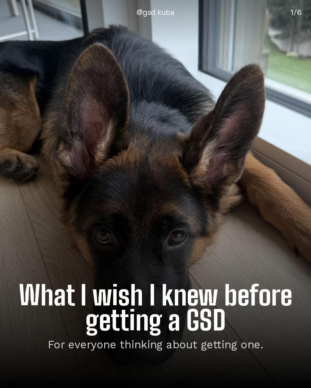 @gsd.kuba