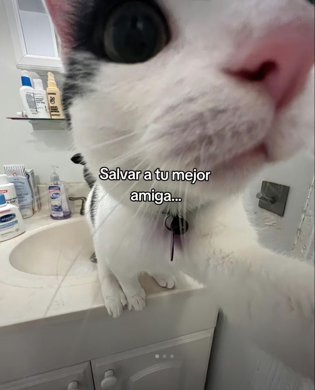 @Stayblink 💗