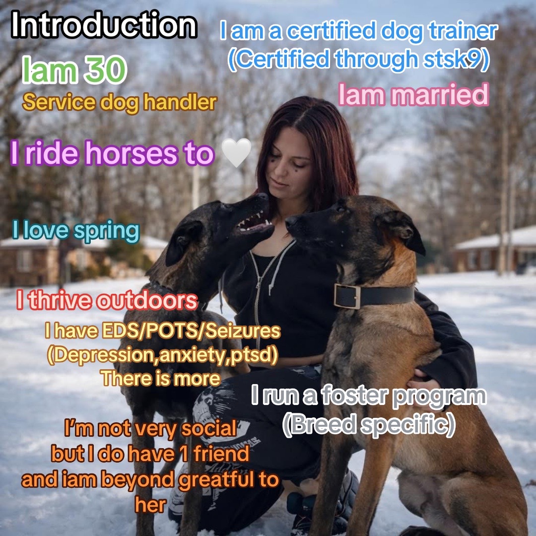 @CRZK9 Dog Training