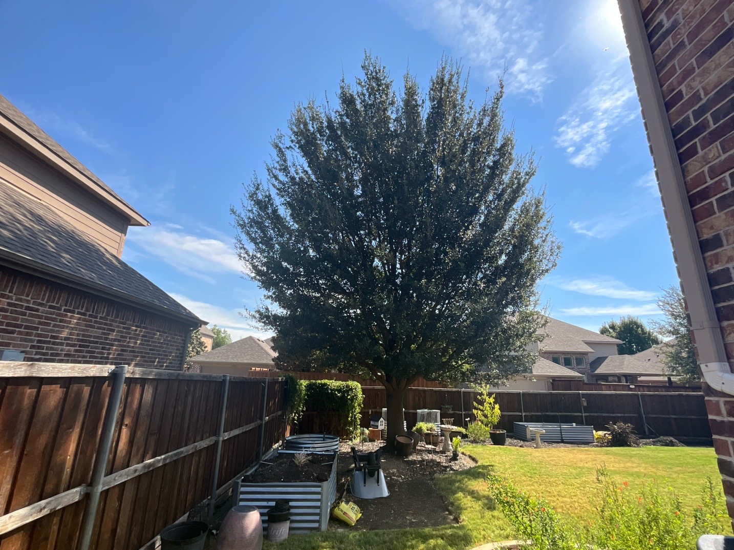 @Live Oak Tree Service