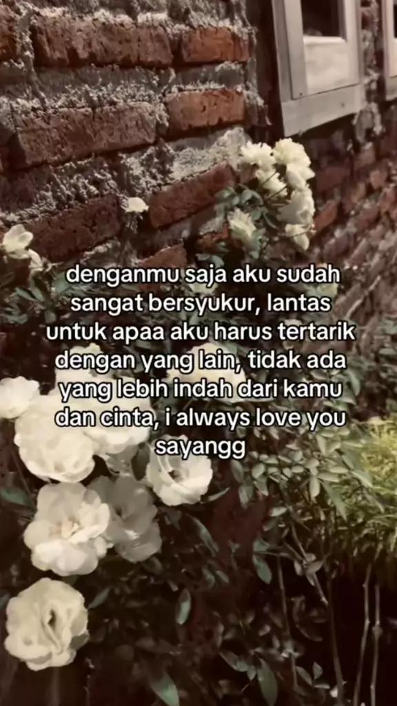 @TEDYLIPAAA