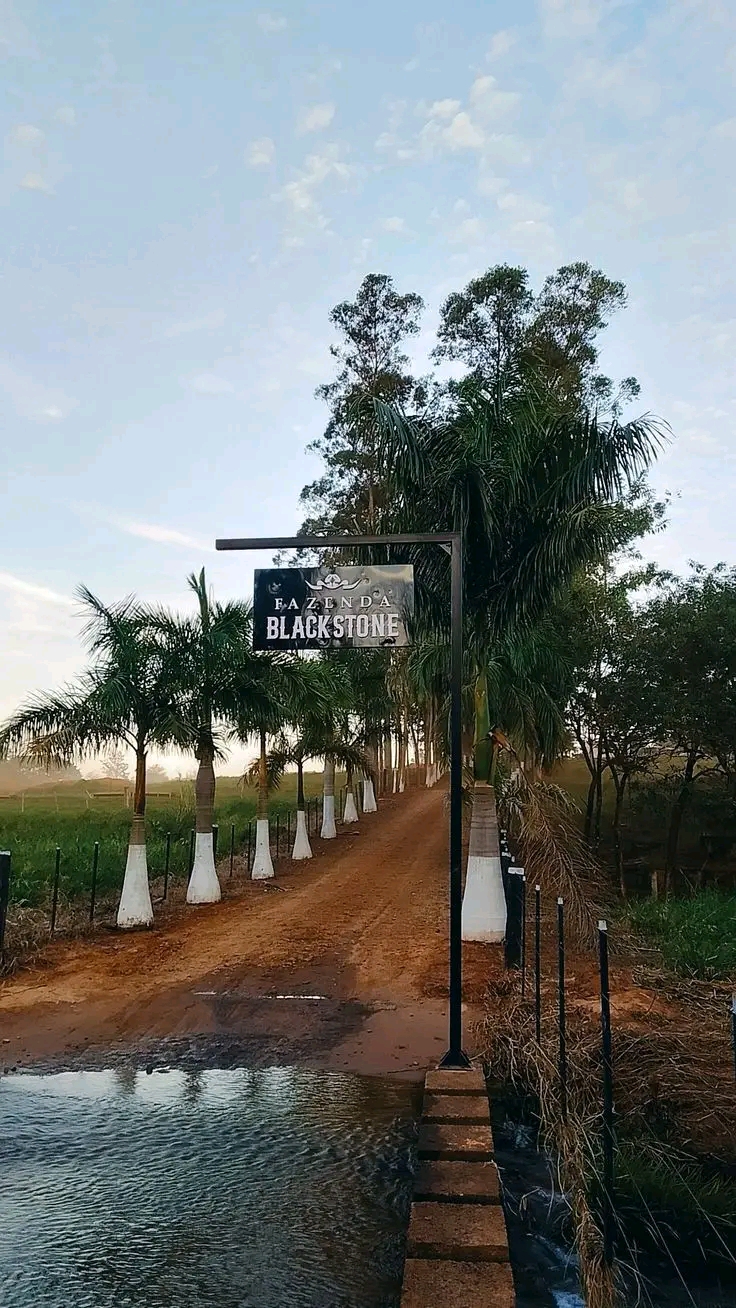 @Renato Garcia 5 Minutos