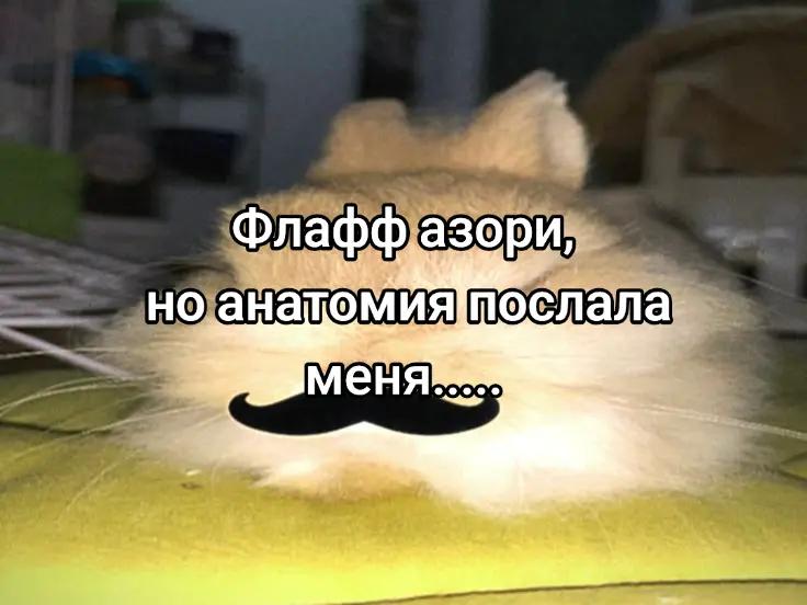 @чокопао 🍅