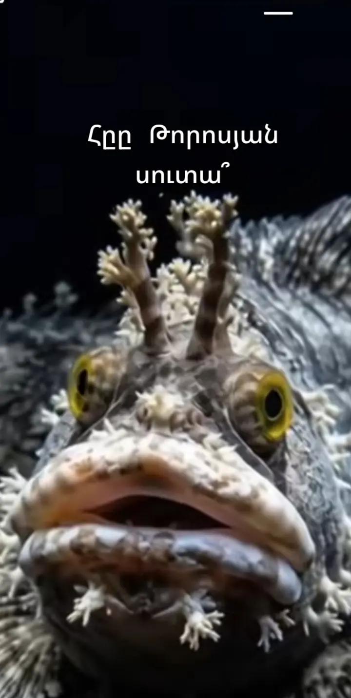 @Артур