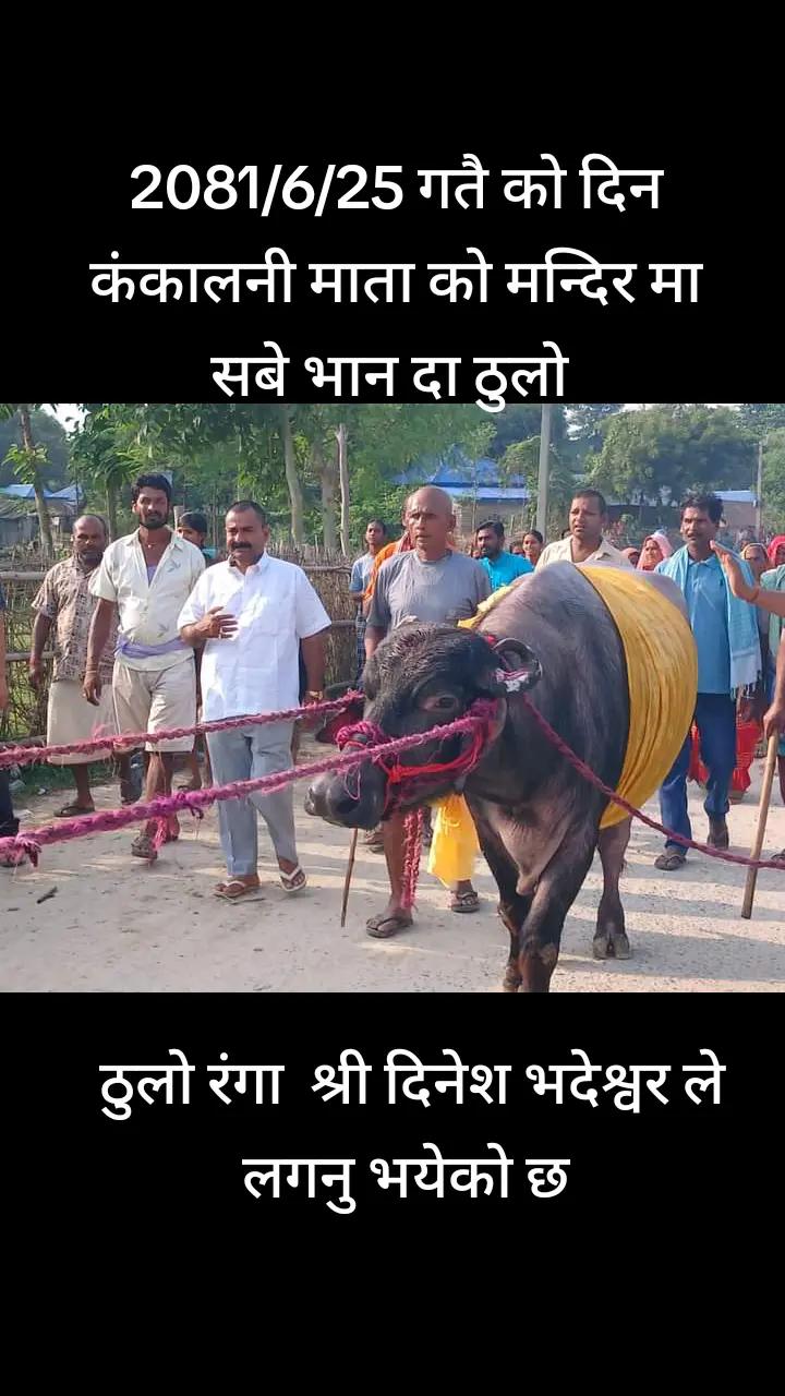 @SADBoy💔💔💔🕉️ {जय श्री राम}