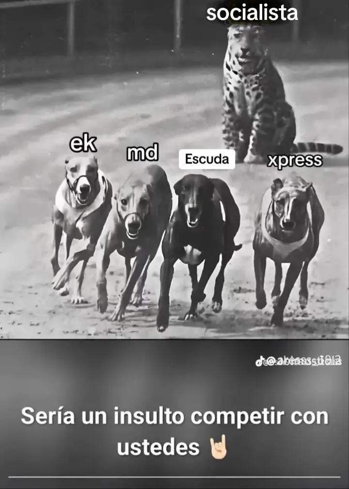 @🇻🇪🇺🇲josue