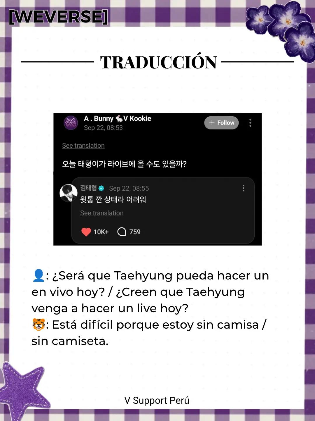 @V Support Perú