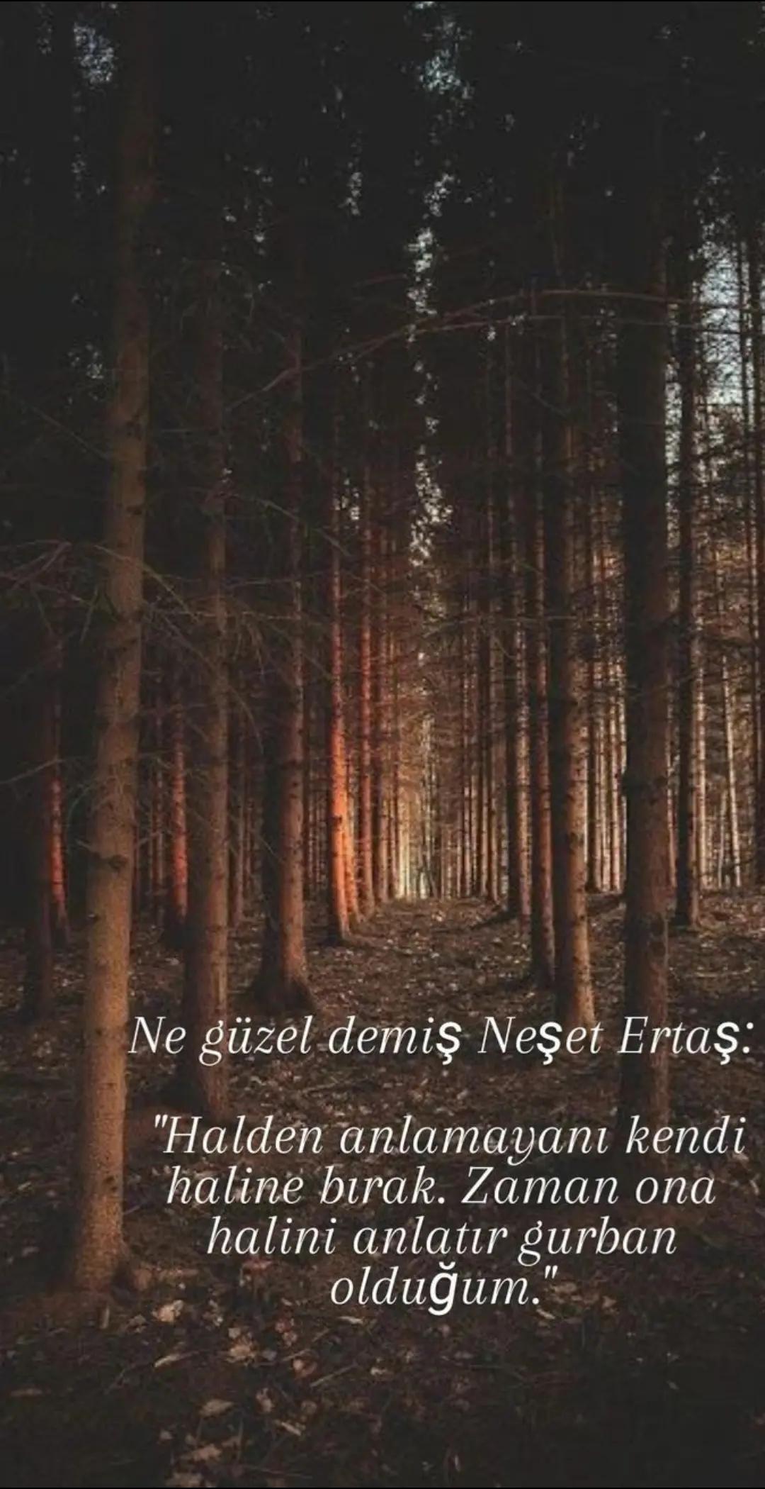 @Songül