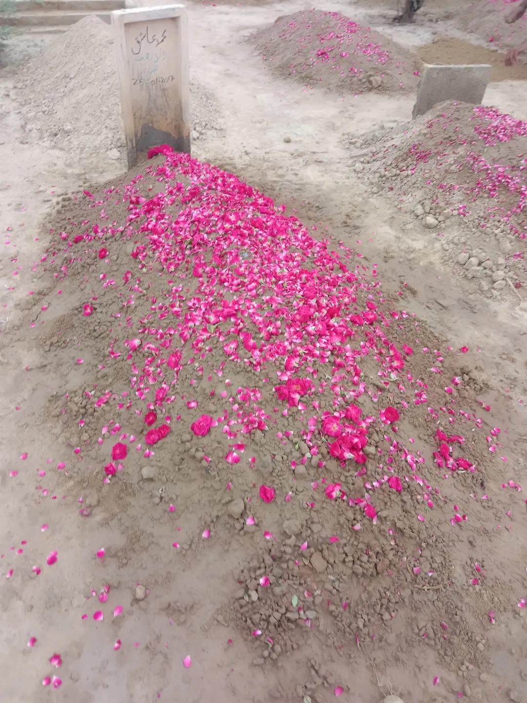 @M.Ahsan kamboh❤🌹❤