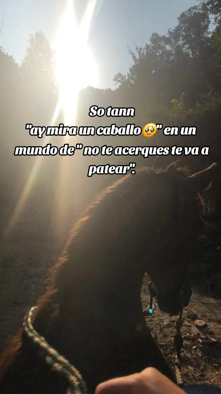 @Ruby__006