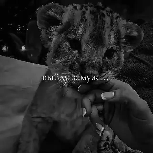 @ღе̷г̷о̷ х̷у̷л̷и̷г̷а̷н̷к̷а̷ღ