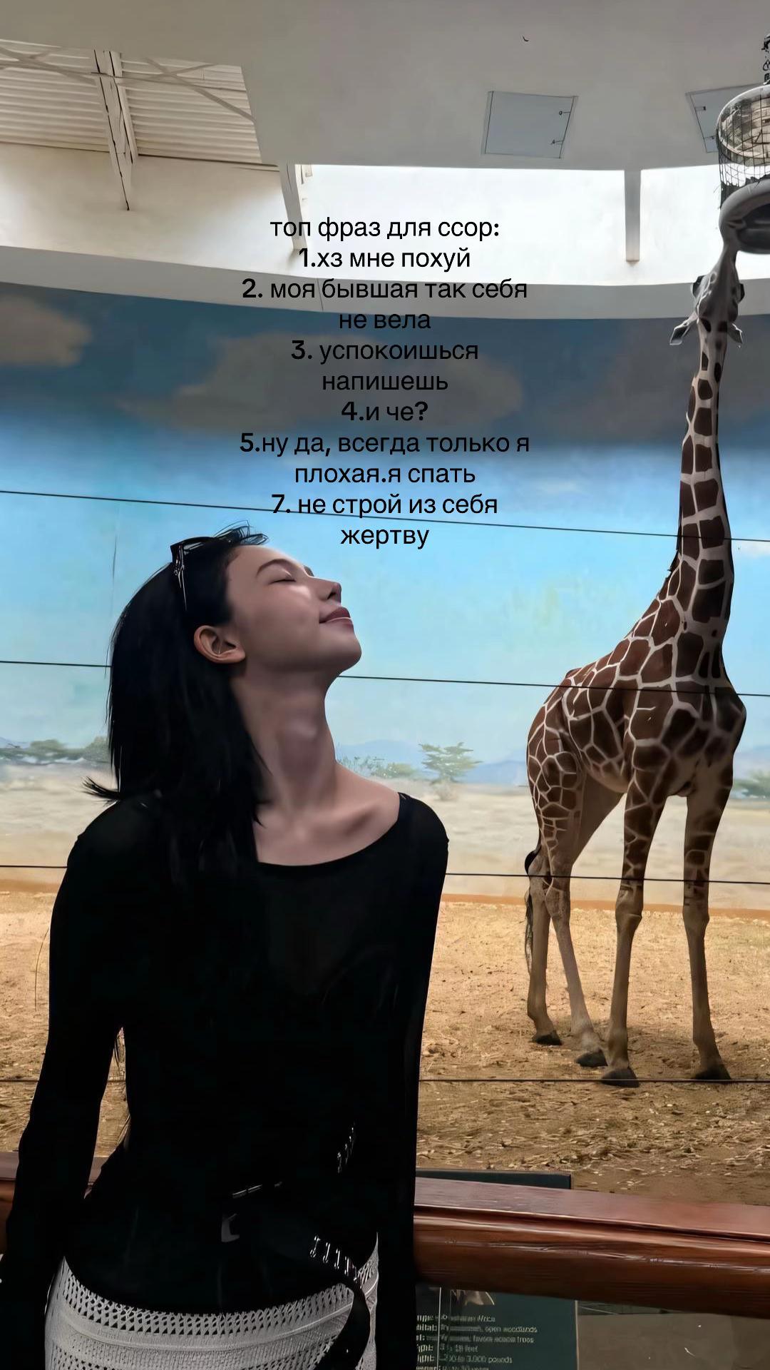 @Дишка Моггер