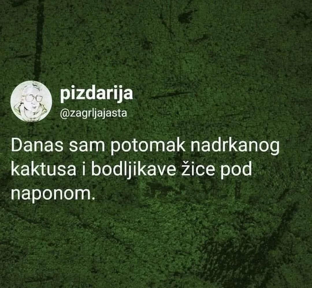 @Andrea Mandic