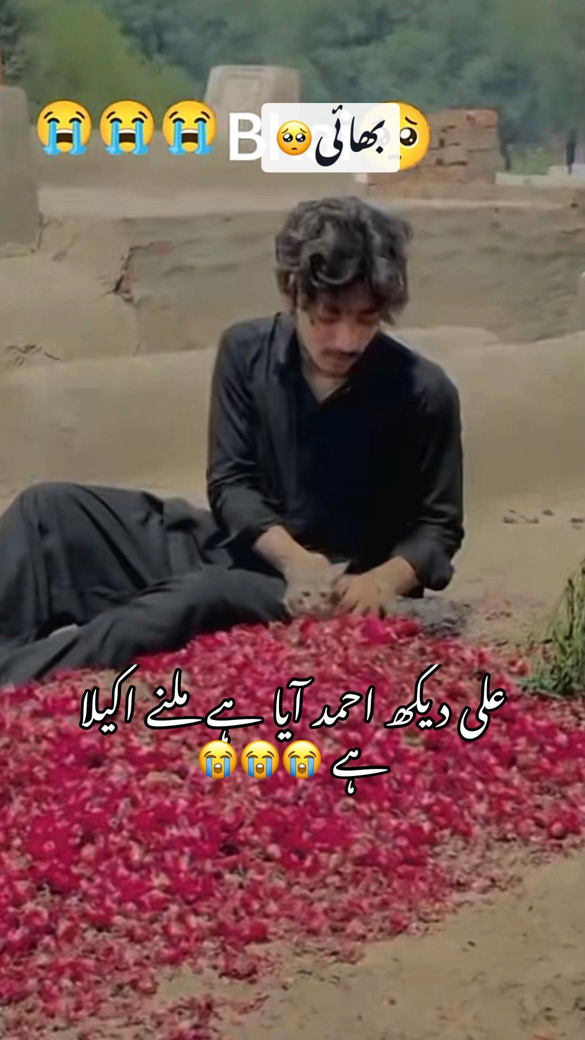 @farazmultani13
