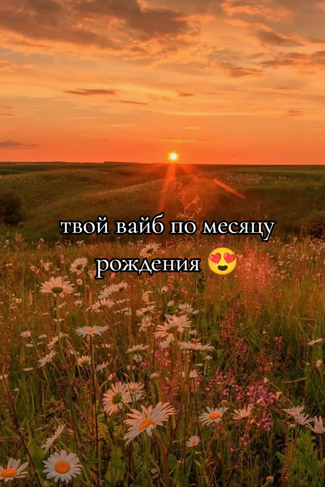 @liivemee