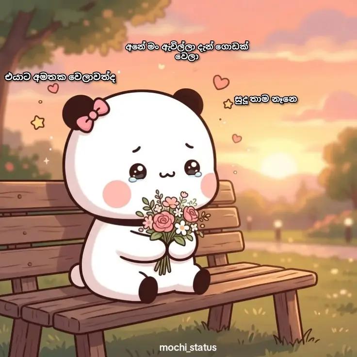 @<мσ¢нι ѕтαтυѕ🐼🤍