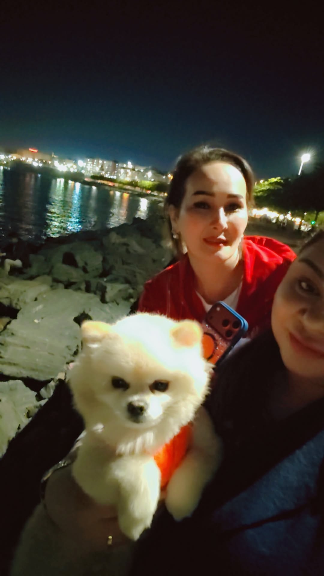 @Şema