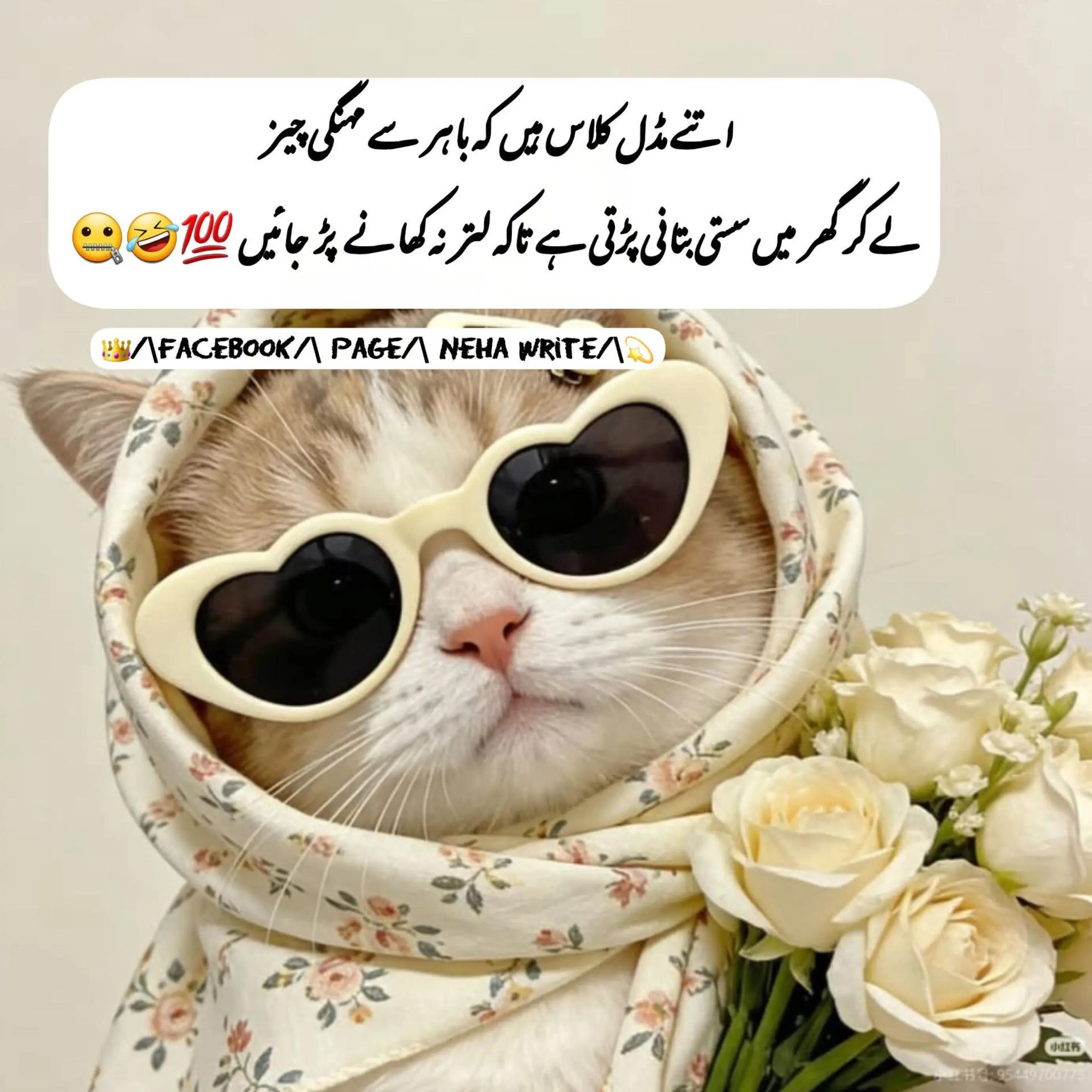 @🌹MeEm jEe SHeIkH میم جی 🌹Uk