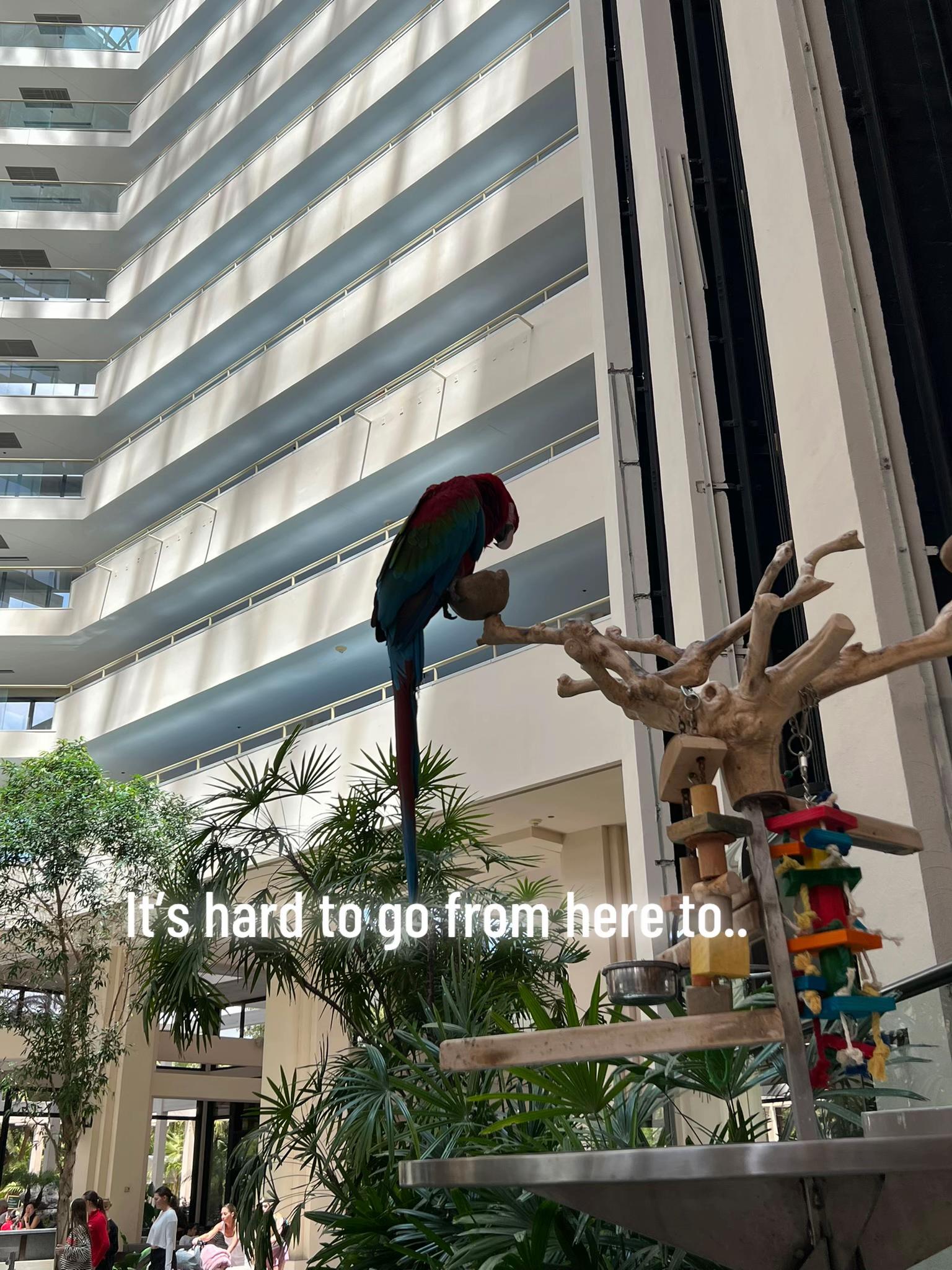 @𝐄.𝐇