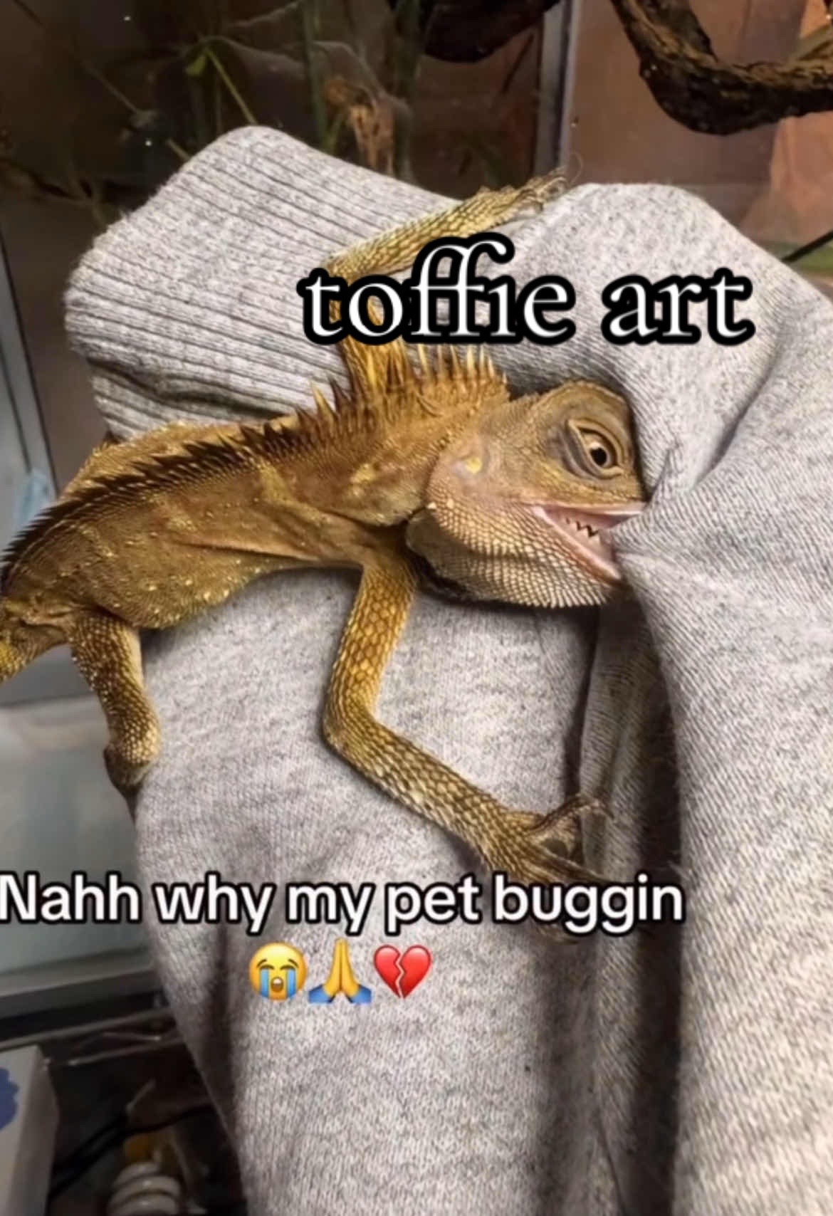 @T&Omega;ffie