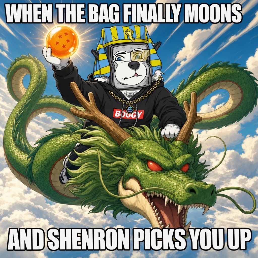 @boggycoinsol