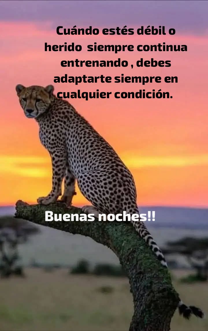 @normita