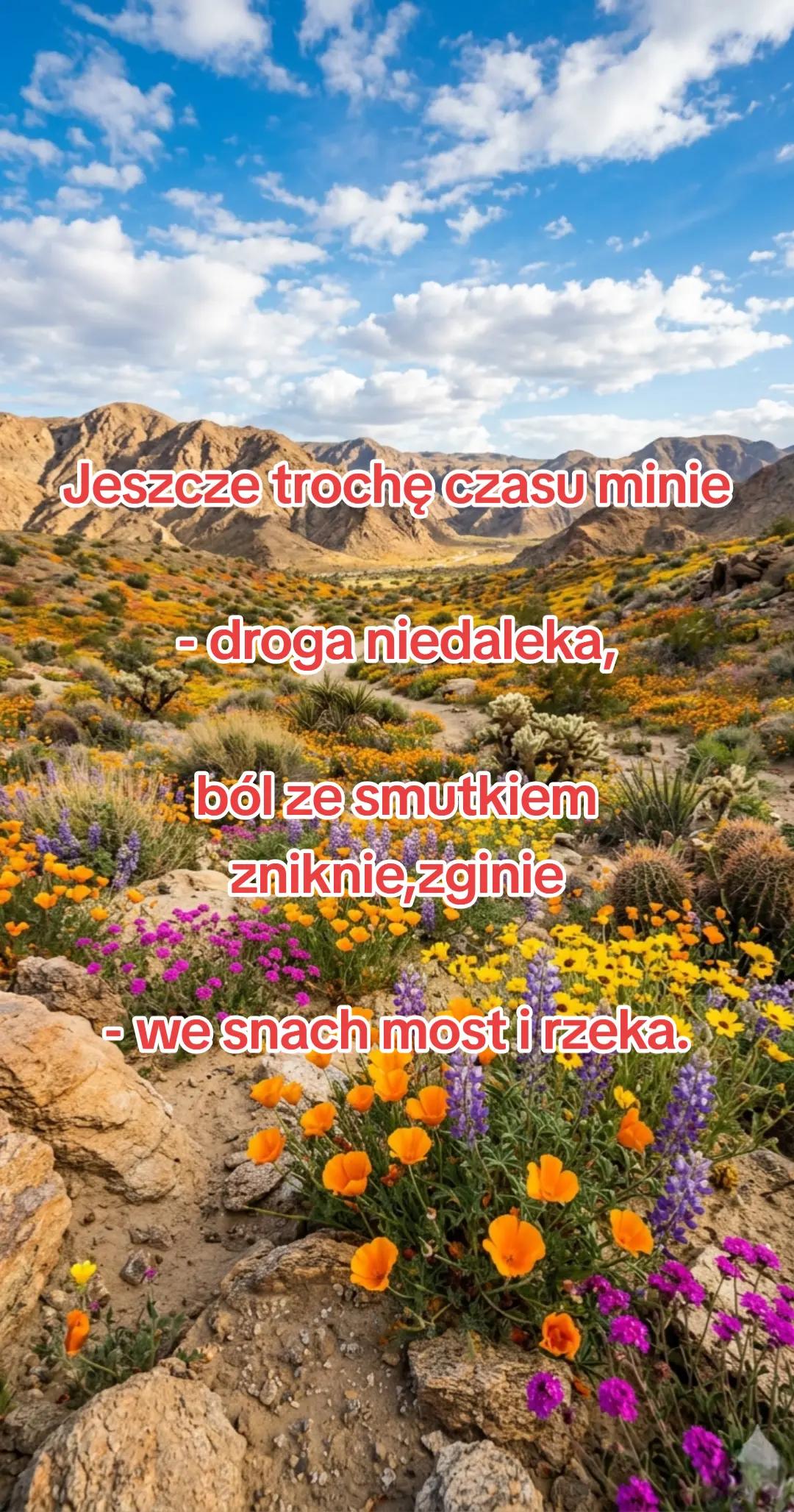 @Poezja Polska