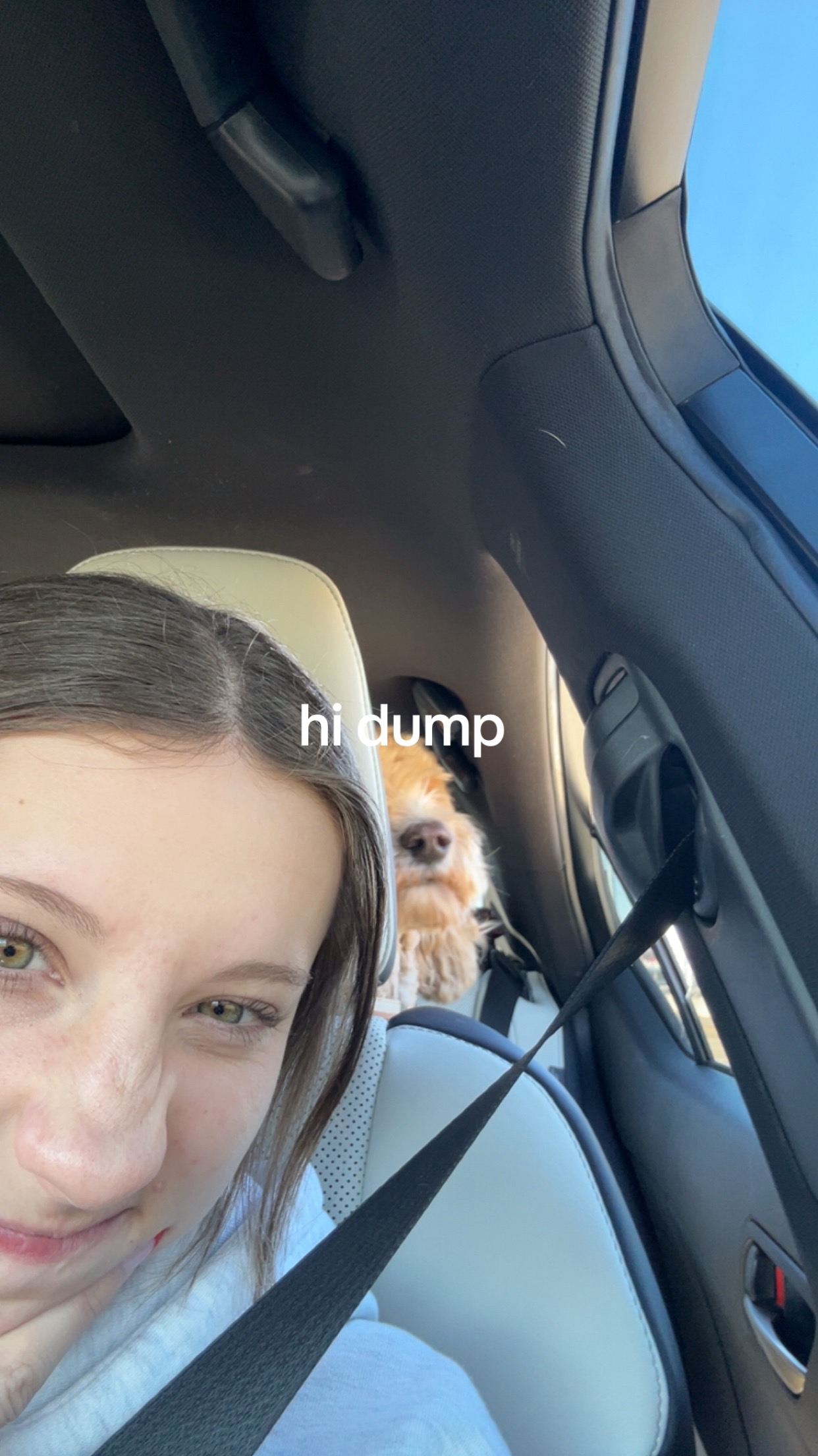 @cammi