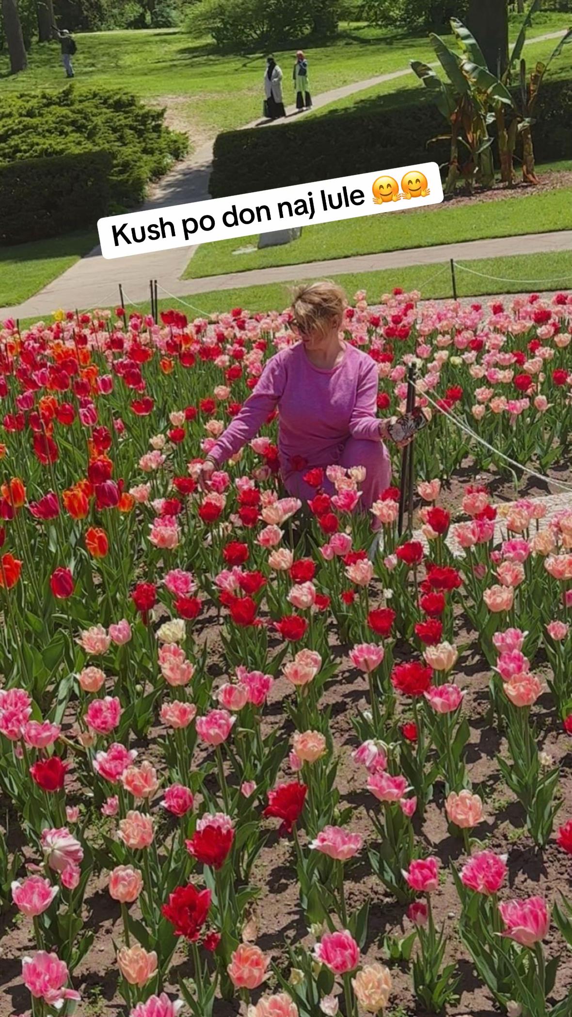 @suzanaj3