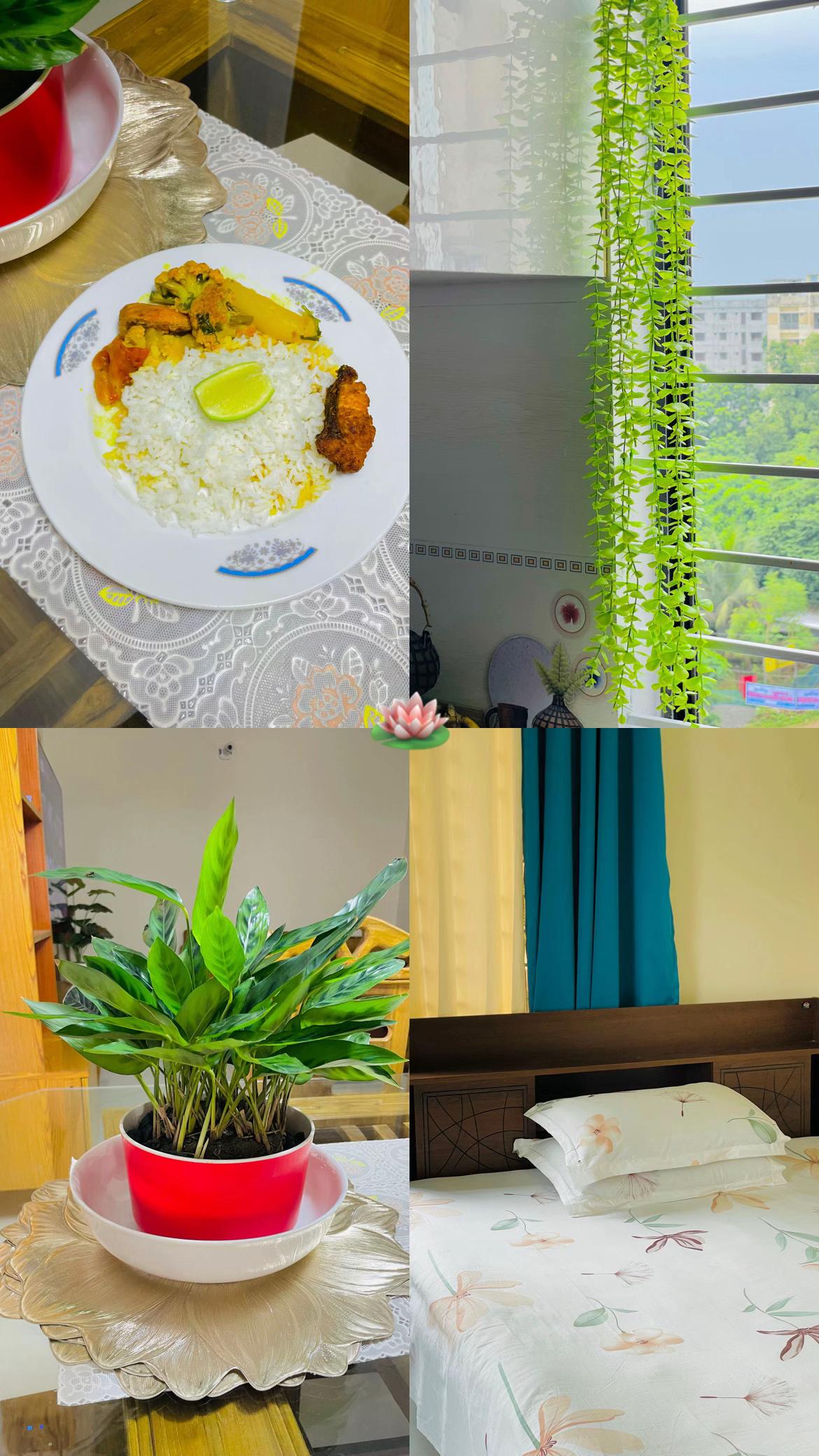 @His Lokkhi 🖤🌷