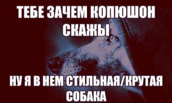 @онiто🌚