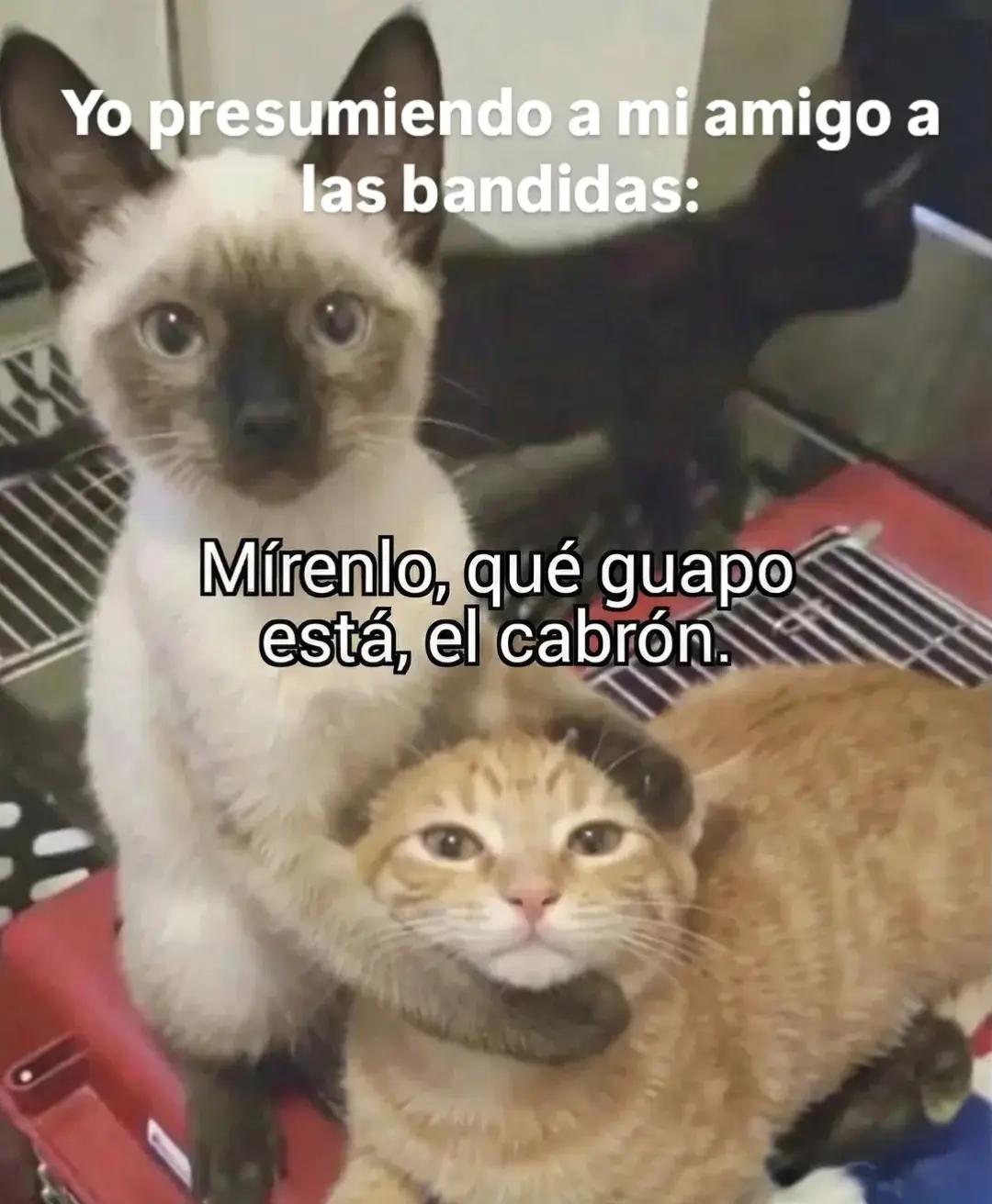 @Brunofzzz