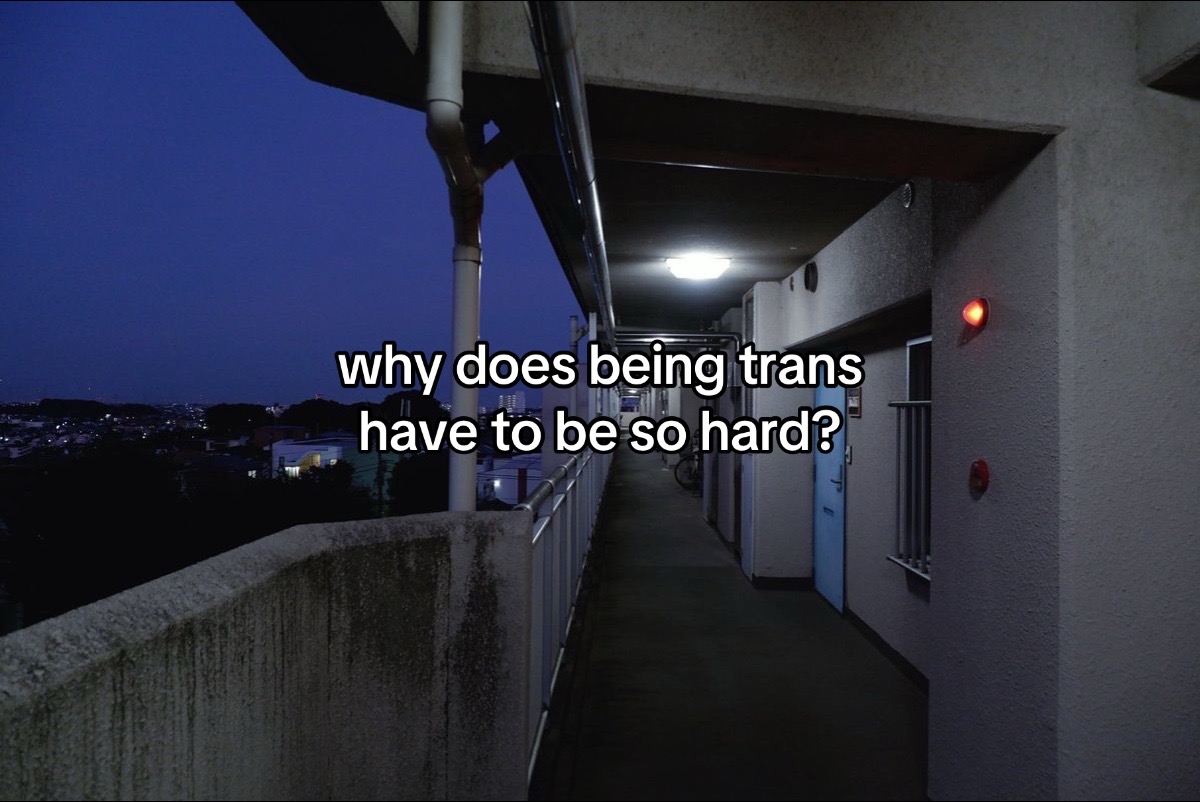 @chudtrans