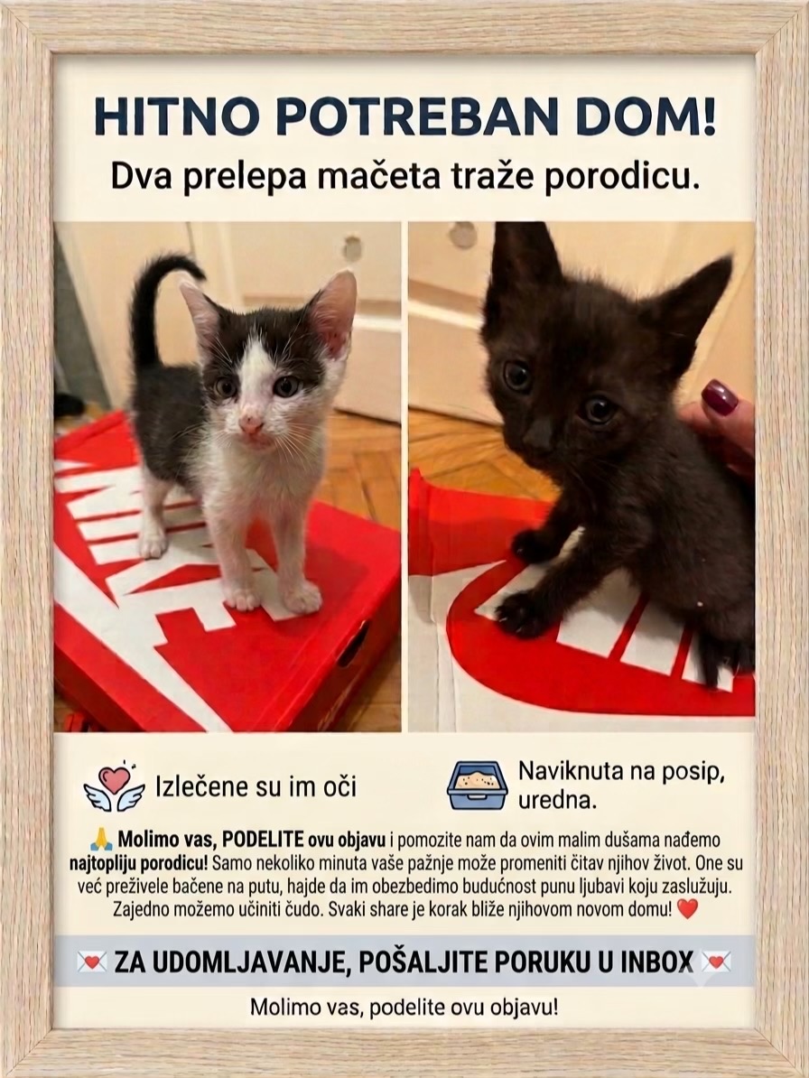 @cosanostrapurr