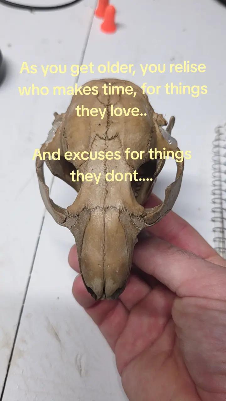 @feral_veteran