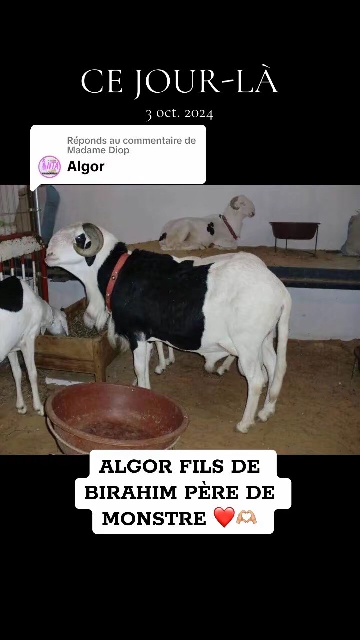 @galass_eleveur
