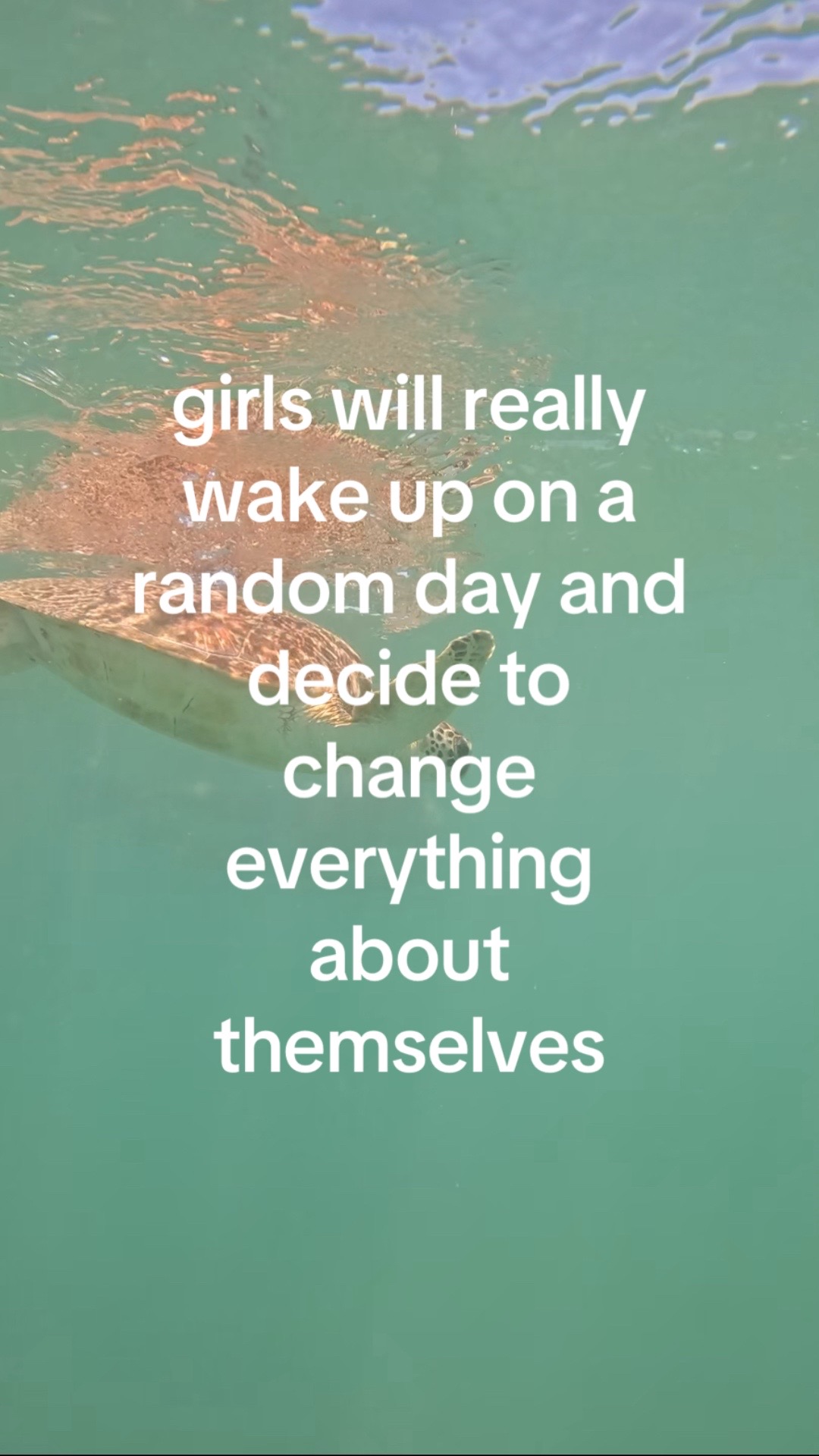 @pinkpantherza🌶️