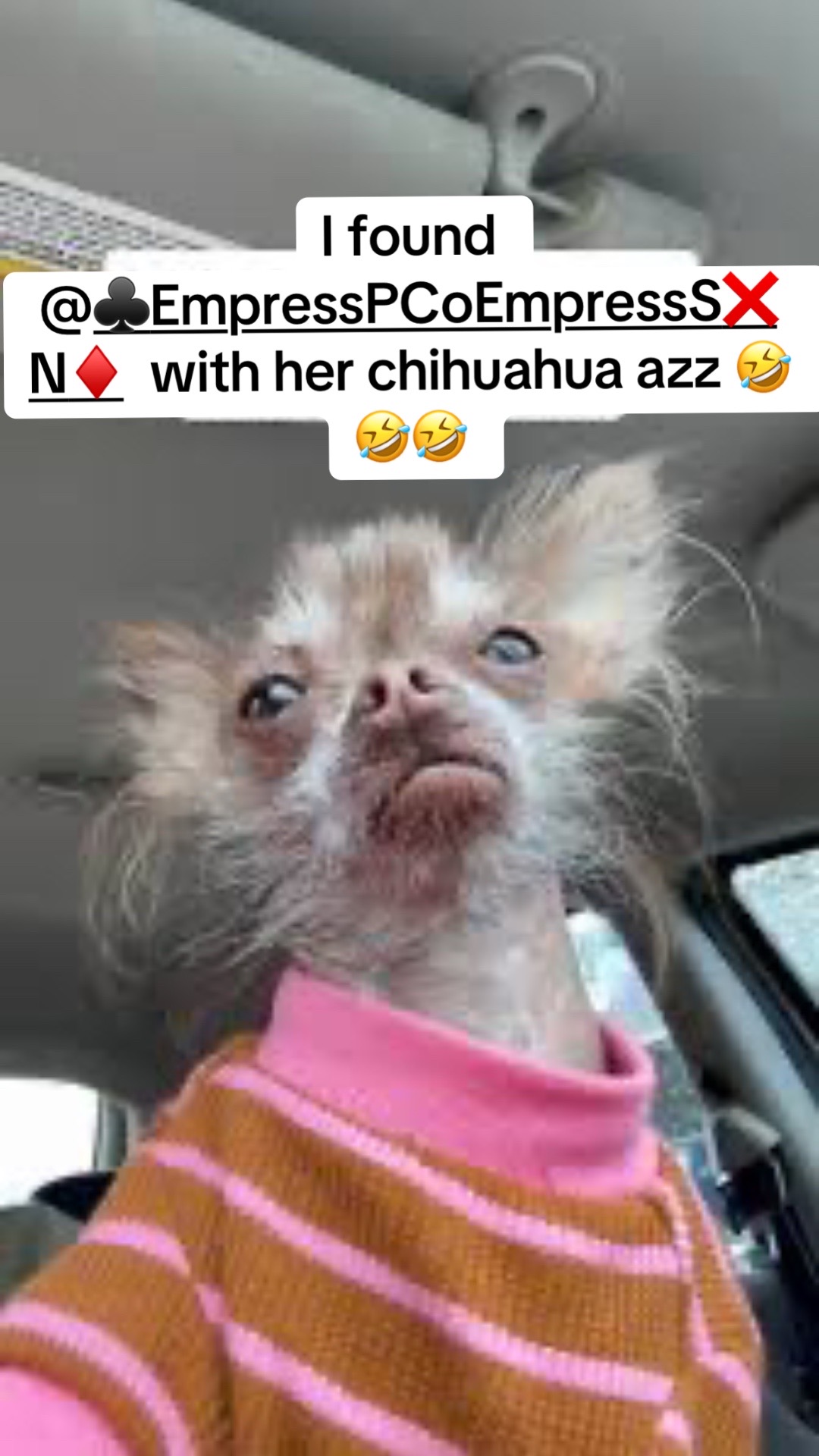 @ur_nightmare_xo_dq