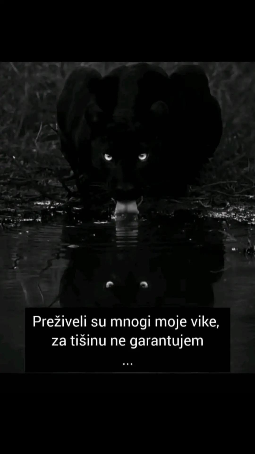 @crnogorka