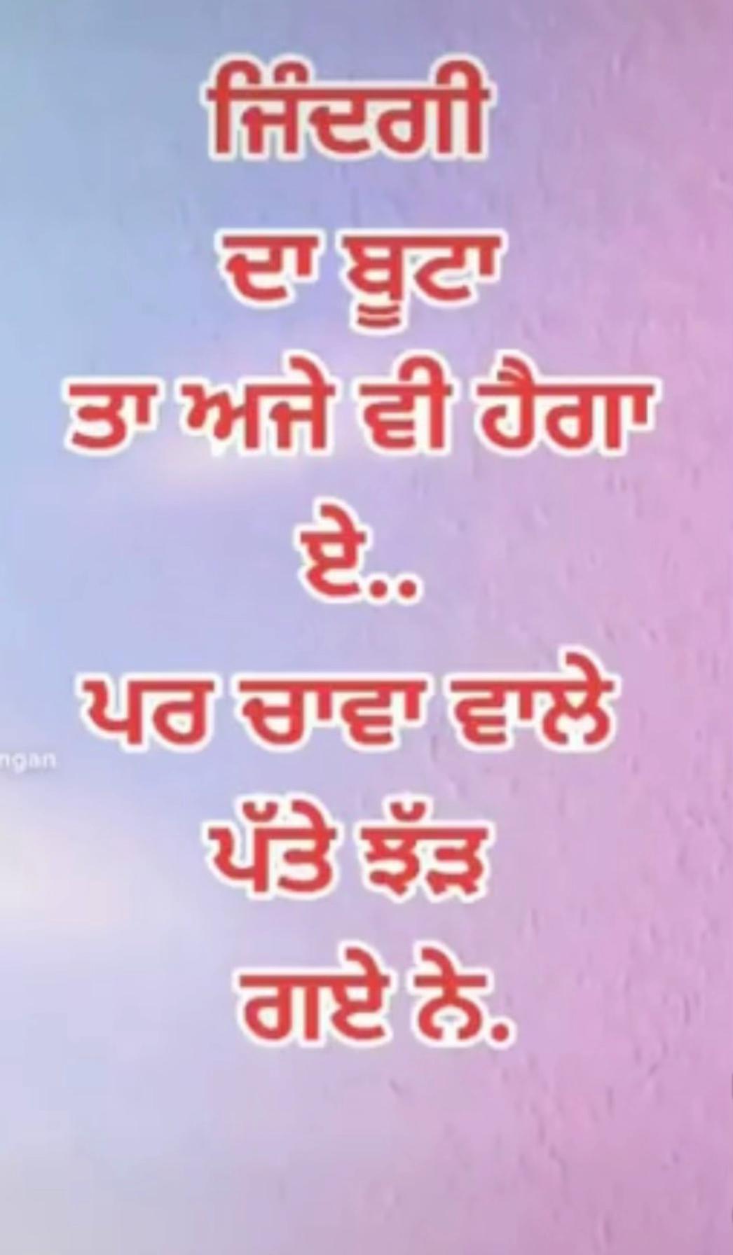 @Ravinder kaur