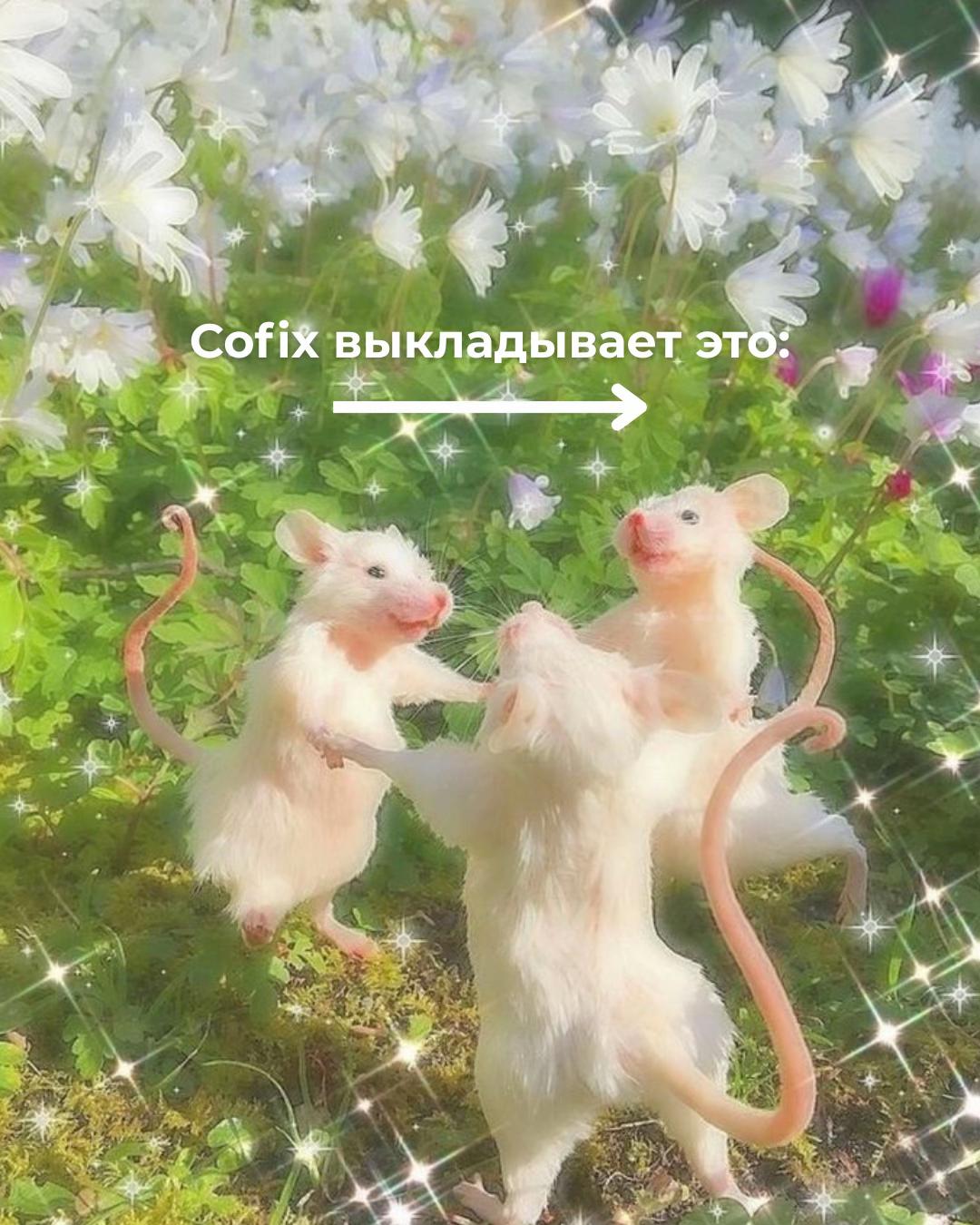 @cofix_belarus